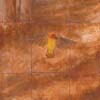 The Bird - Buy Oil Paintings by Claudia Kleefeld