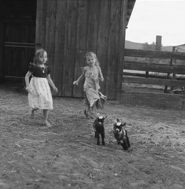 Claudia Kleefeld -  Photography of Children